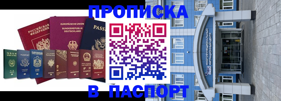 прописка штамп в Долгопрудном